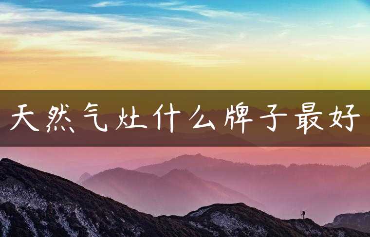 天然气灶什么牌子最好