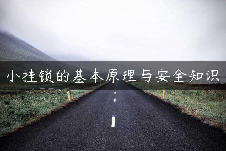 小挂锁的基本原理与安全知识