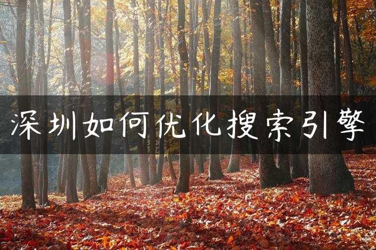 深圳如何优化搜索引擎