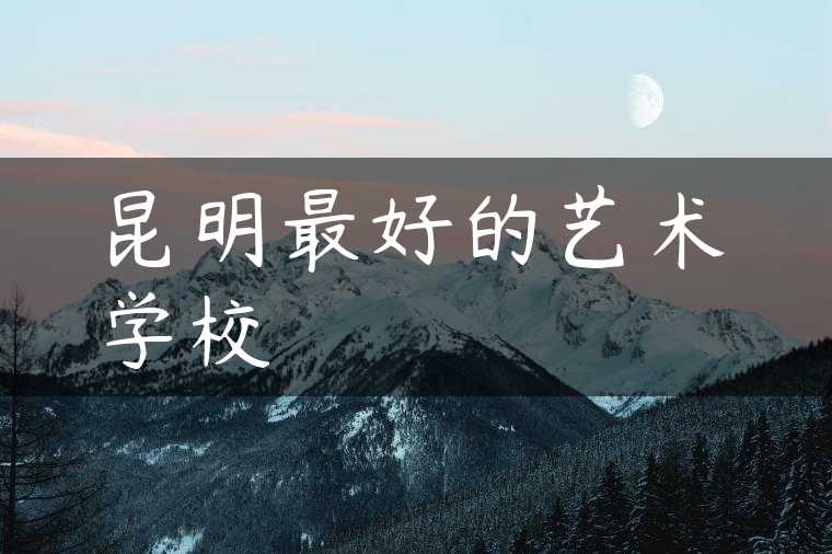 昆明最好的艺术学校