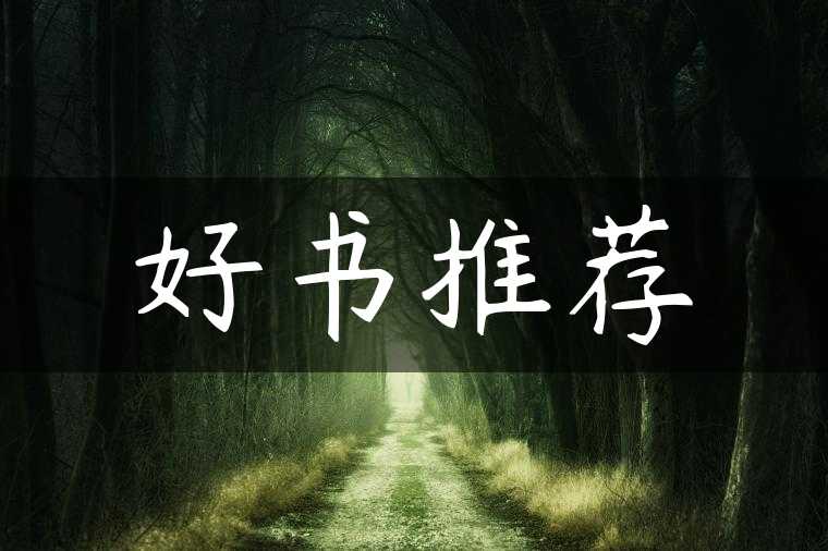 好书推荐