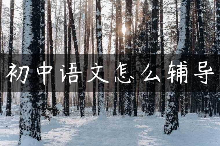 初中语文怎么辅导