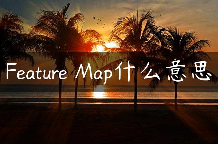 Feature Map什么意思
