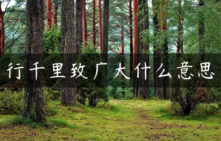 行千里致广大什么意思