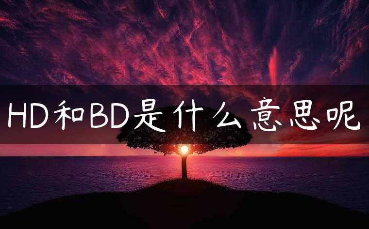 HD和BD是什么意思呢