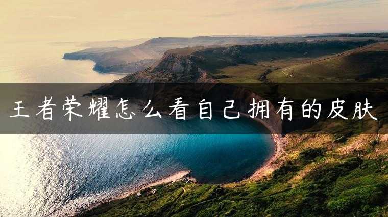 王者荣耀怎么看自己拥有的皮肤