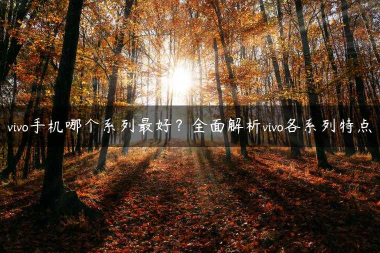 vivo手机哪个系列最好？全面解析vivo各系列特点