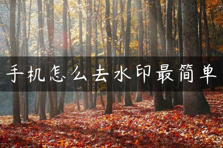 手机怎么去水印最简单