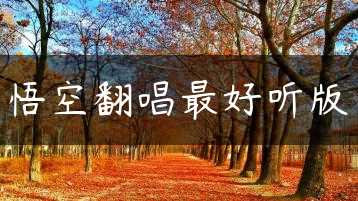 悟空翻唱最好听版缩略图