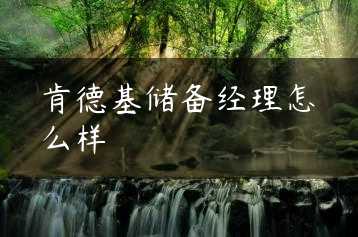 肯德基储备经理怎么样缩略图