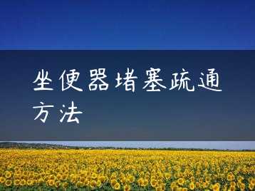 坐便器堵塞疏通方法缩略图