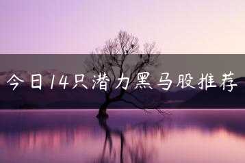 今日14只潜力黑马股推荐缩略图