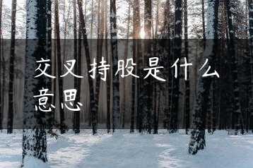 交叉持股是什么意思缩略图