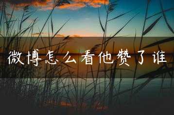 微博怎么看他赞了谁缩略图