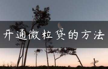 开通微粒贷的方法缩略图