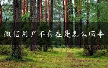 微信用户不存在是怎么回事缩略图