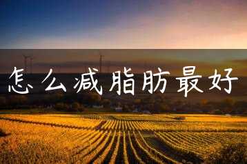 怎么减脂肪最好缩略图