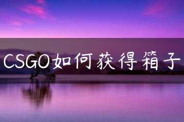 CSGO如何获得箱子缩略图