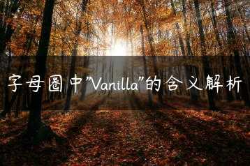 字母圈中”Vanilla”的含义解析缩略图
