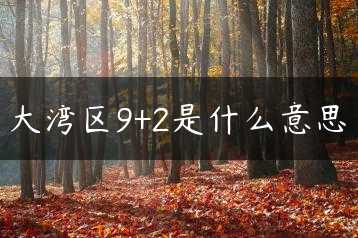 大湾区9+2是什么意思缩略图