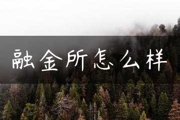 融金所怎么样缩略图