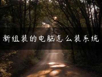 新组装的电脑怎么装系统缩略图