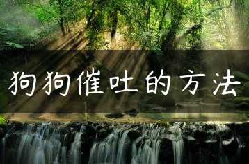 狗狗催吐的方法缩略图