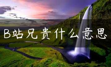 B站兄贵什么意思缩略图