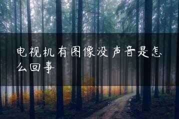 电视机有图像没声音是怎么回事缩略图