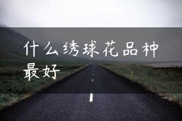 什么绣球花品种最好缩略图