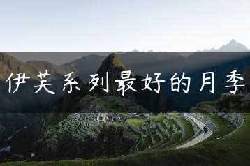 伊芙系列最好的月季缩略图