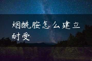 烟酰胺怎么建立耐受缩略图