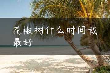 花椒树什么时间栽最好缩略图