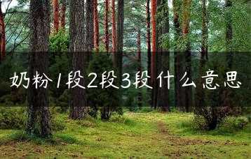 奶粉1段2段3段什么意思缩略图
