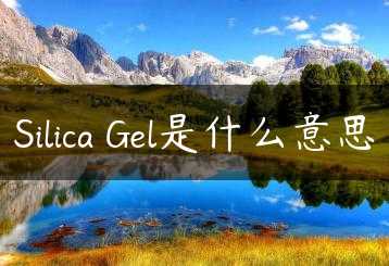 Silica Gel是什么意思缩略图