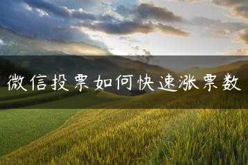 微信投票如何快速涨票数缩略图 微信投票如何快速涨票数缩略图