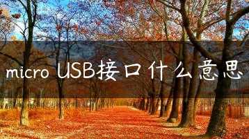 micro USB接口什么意思缩略图