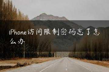 iPhone访问限制密码忘了怎么办缩略图 iPhone访问限制密码忘了怎么办缩略图