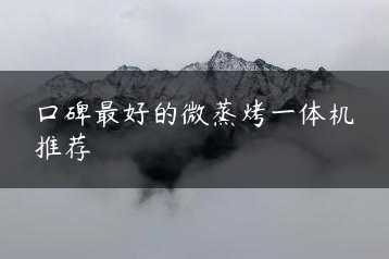 口碑最好的微蒸烤一体机推荐缩略图