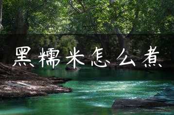 黑糯米怎么煮缩略图
