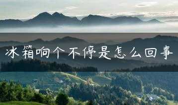 冰箱响个不停是怎么回事缩略图