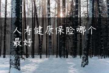 人寿健康保险哪个最好缩略图