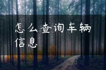 怎么查询车辆信息缩略图