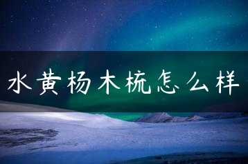 水黄杨木梳怎么样缩略图