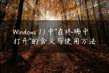 Windows 11中”在终端中打开”的含义与使用方法缩略图