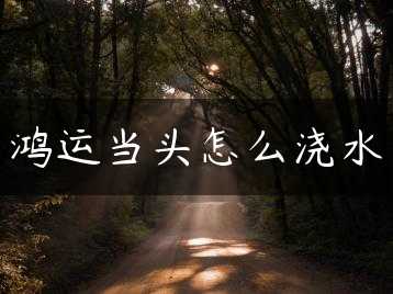 鸿运当头怎么浇水缩略图
