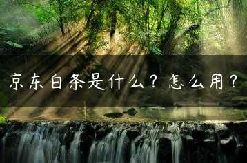 京东白条是什么？怎么用？缩略图
