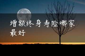 增额终身寿险哪家最好缩略图