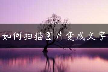 如何扫描图片变成文字缩略图