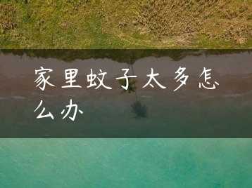 家里蚊子太多怎么办缩略图